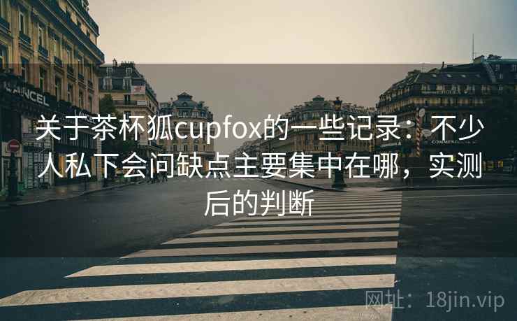 关于茶杯狐cupfox的一些记录：不少人私下会问缺点主要集中在哪，实测后的判断