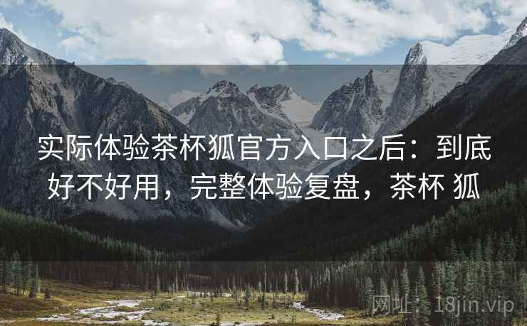 实际体验茶杯狐官方入口之后：到底好不好用，完整体验复盘，茶杯 狐