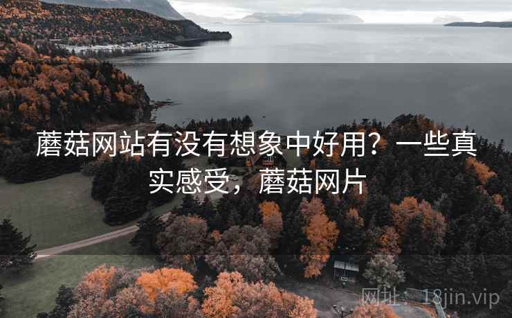 蘑菇网站有没有想象中好用？一些真实感受，蘑菇网片