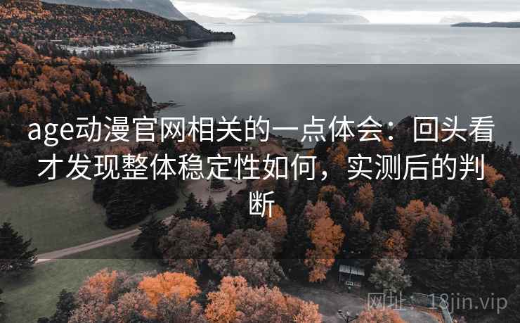 age动漫官网相关的一点体会：回头看才发现整体稳定性如何，实测后的判断