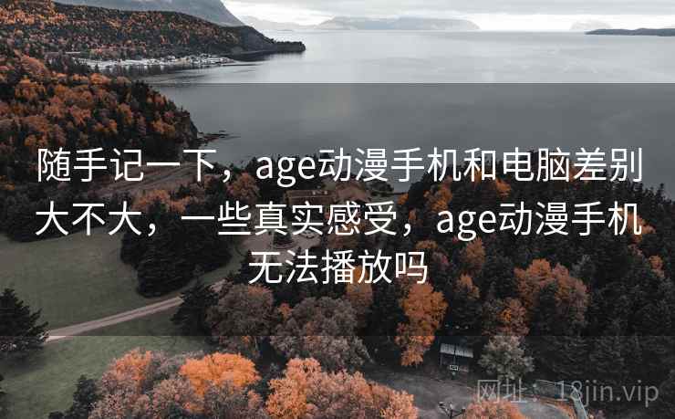 随手记一下，age动漫手机和电脑差别大不大，一些真实感受，age动漫手机无法播放吗