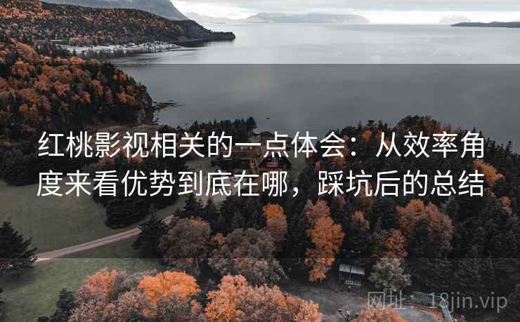红桃影视相关的一点体会:从效率角度来看优势到底在哪,踩坑后的总结 红桃影视相关的一点体会:从效率角度来看优势到底在哪,踩坑后的总结